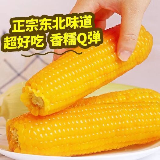 长沙东北甜糯玉米棒黄A级新鲜玉米棒
非转代减餐玉米新鲜
