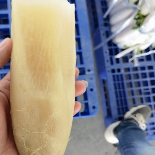 腌萝卜优质大量腌制白萝卜，全面有货，欢迎实地考察，来电咨询！