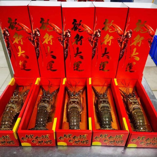 济南龙虾礼盒 400/500克每只送礼佳品