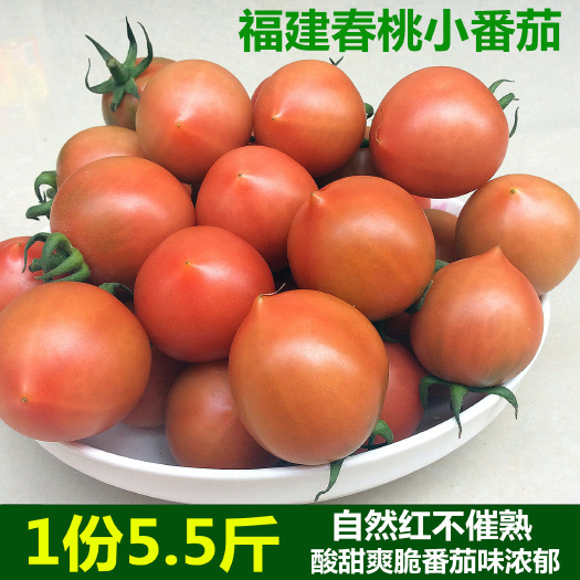 漳浦县[包邮]西红柿小番茄春桃柿子 孕妇水果