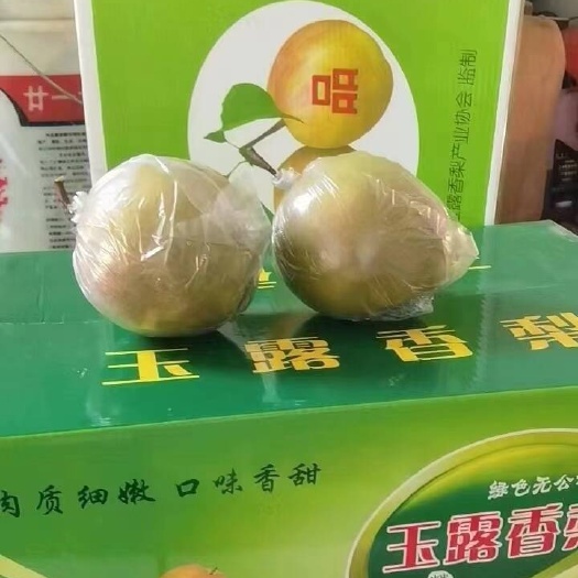 文水县“玉露香”诞生在山西隰县，丰收于金色秋风季节。作为“梨子界”