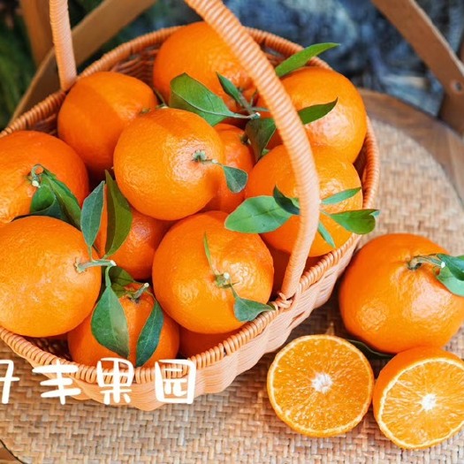 海宁市象山红美人