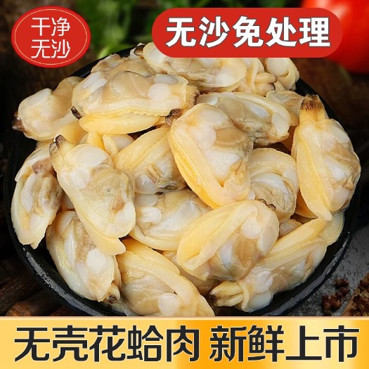 花甲肉无冰无沙无碎壳个大鲜美蚬子肉贝肉蛤蜊肉杂色蛤肉