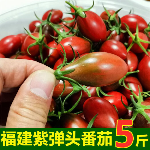 漳浦县圣女果现摘紫弹头水果迷彩新鲜西红柿番茄现发