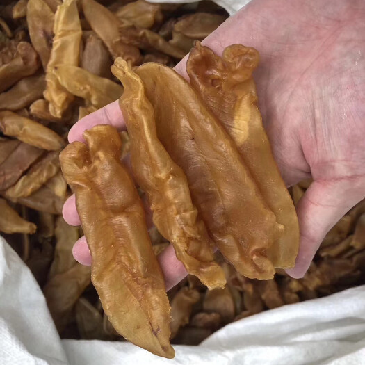 广州35头老黄花胶鱼胶