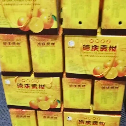 现摘现卖德庆皇帝柑、产自自家果园 皮薄光滑、肉质脆嫩