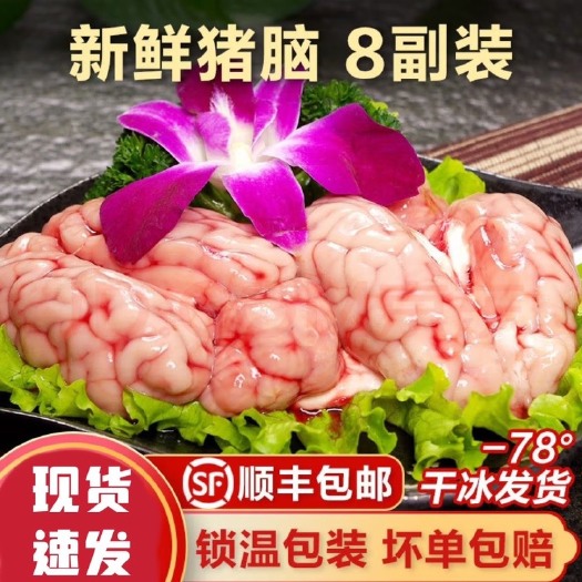 长沙8盒装新鲜冷冻猪脑花 猪脑子猪脑髓 带小脑顺丰包邮