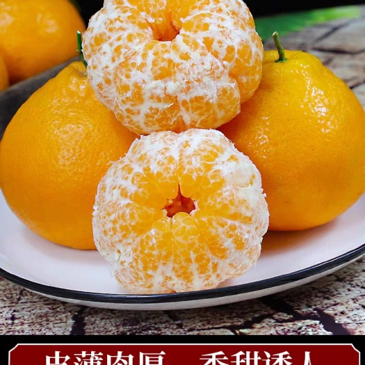 春见耙耙柑