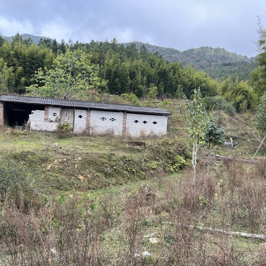 新丰县新丰县黄礤镇大型鱼塘旱地出租