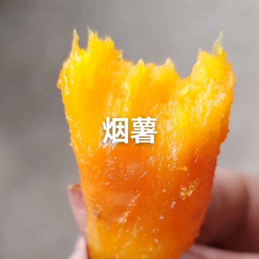滦州市唐山烟薯25，软糯香甜烤蜜薯，各种规格分级
