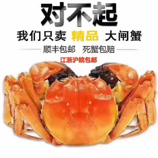 兴化市红膏大闸蟹
