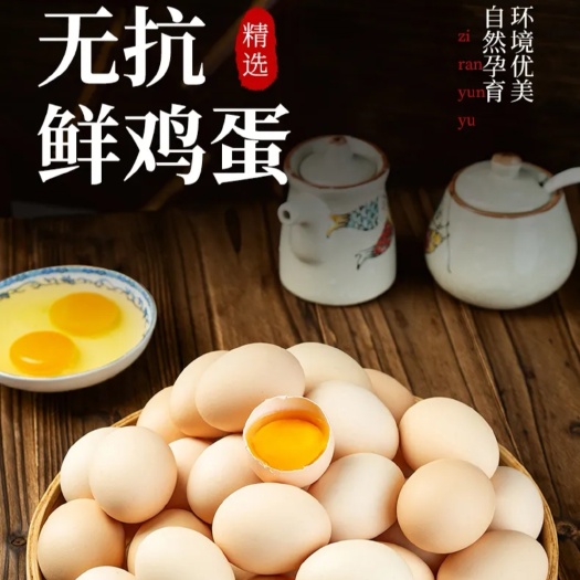 长沙县无抗鲜鸡蛋