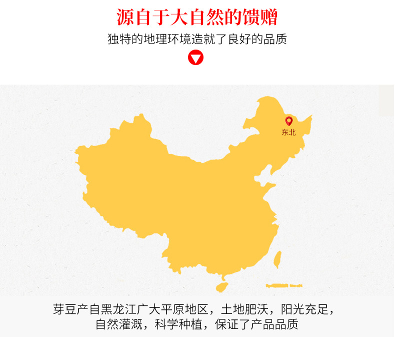 东北豆商品黄豆-红玖特大颗粒高蛋白豆腐腐竹豆干豆豉用豆