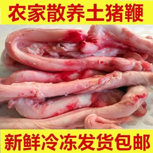 【顺丰包邮】优选新鲜猪鞭农家散养土猪鞭猪三宝猪宝烧烤饭店食材