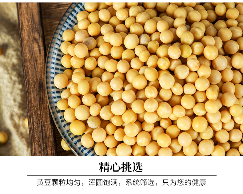 东北豆商品黄豆-红玖特大颗粒高蛋白豆腐腐竹豆干豆豉用豆