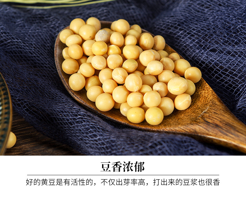 东北豆商品黄豆-红玖特大颗粒高蛋白豆腐腐竹豆干豆豉用豆