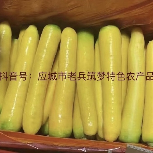 黄胡萝卜上市，产地直供！