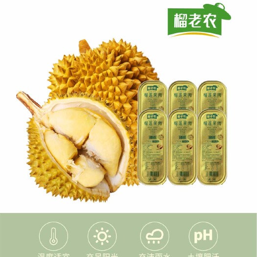 广州榴老农泰国金枕榴莲果肉无核A级榴莲果肉小金条