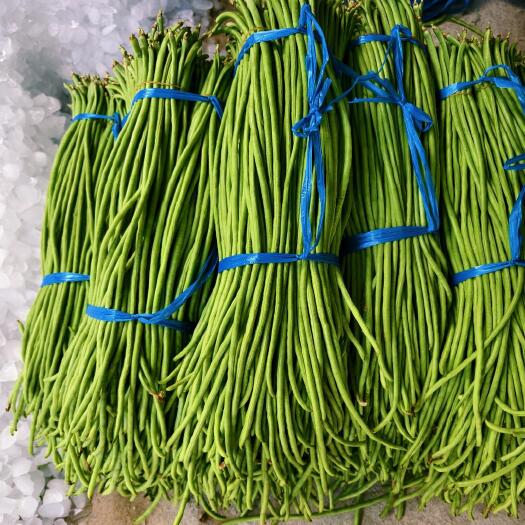 乐东县长豆角，豇豆，白条豆角，全年不间断发货