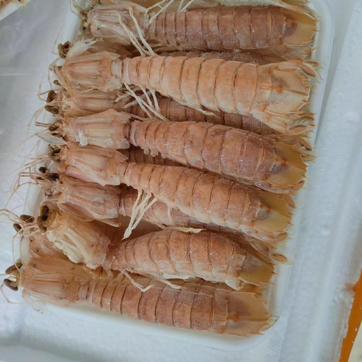 北海小肉《皮皮虾》活煮熟冻