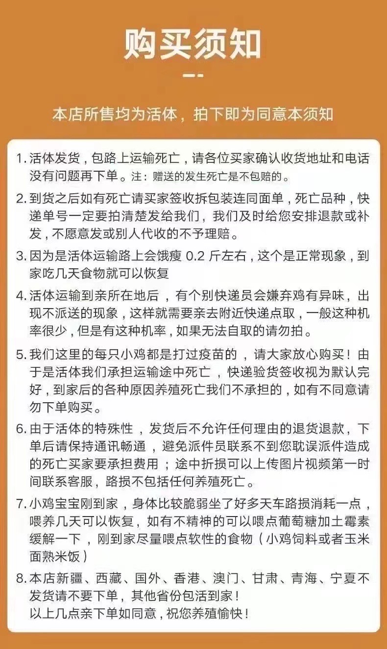 元宝鸡活苗纯种小体小鸡一对活物小体型幼崽矮脚鸡迷你正品包邮