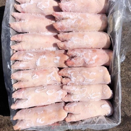 长沙新鲜冷冻带筋小猪蹄猪手毛重20斤猪脚 带筋小猪蹄饭店卤菜食材