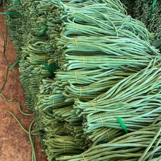 贺州长豆角种子 四季豆种子蔬菜种子轻豆角种子长达1-1.2米瓜果