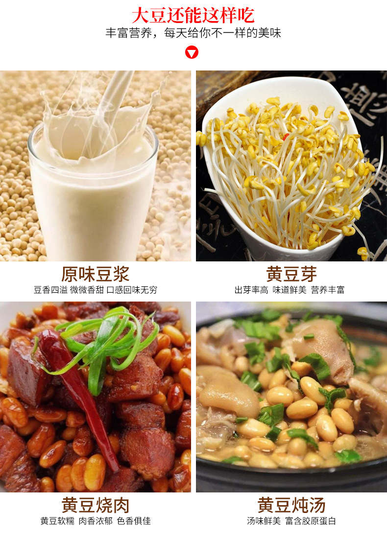 东北豆商品黄豆-红玖特大颗粒高蛋白豆腐腐竹豆干豆豉用豆