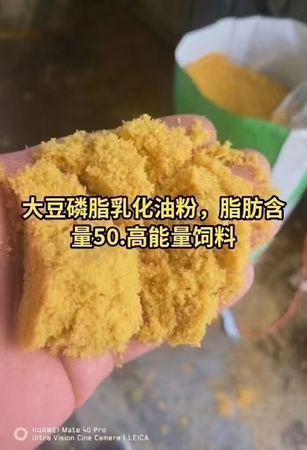 石家庄饲料原料