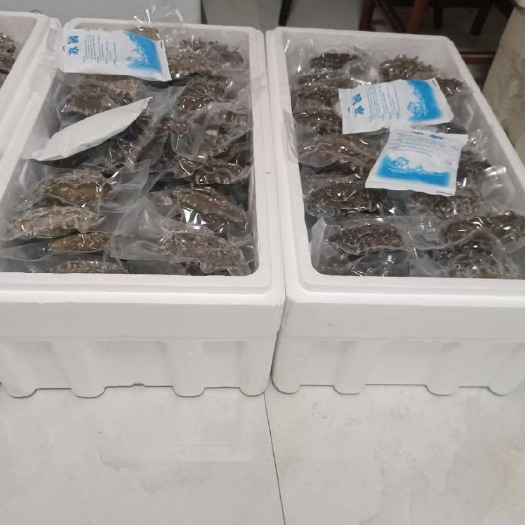 瓦房店市高压即食海参