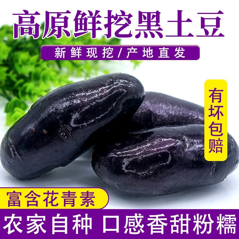当季新鲜黑土豆高山紫土豆黑金刚土豆黑美人马铃薯蔬菜整箱包邮