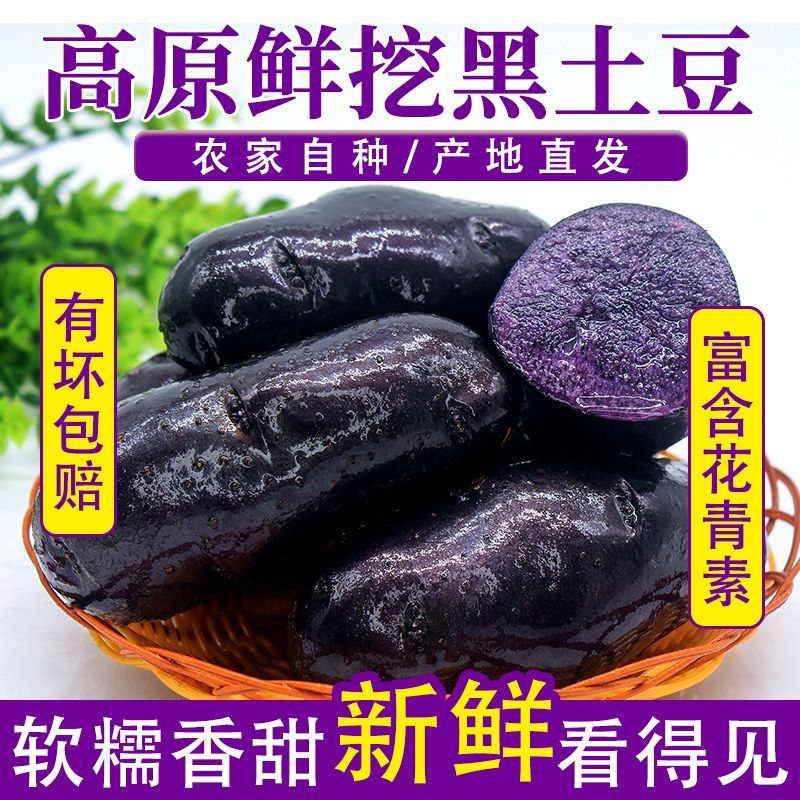 当季新鲜黑土豆高山紫土豆黑金刚土豆黑美人马铃薯蔬菜整箱包邮