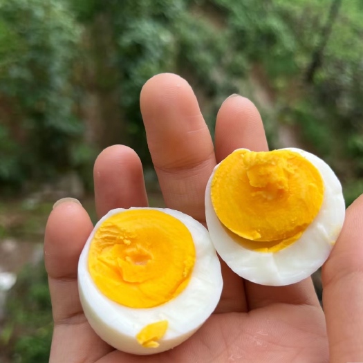 武汉高山散养土鸡蛋