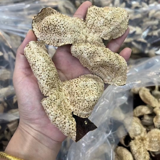 江门东甲10年陈皮