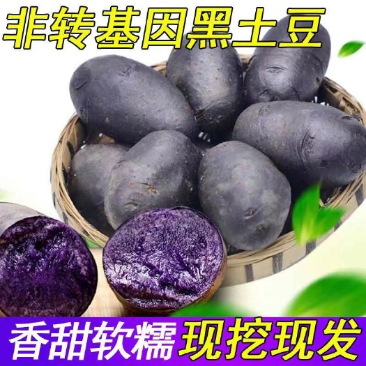 当季新鲜黑土豆高山紫土豆黑金刚土豆黑美人马铃薯蔬菜整箱包邮