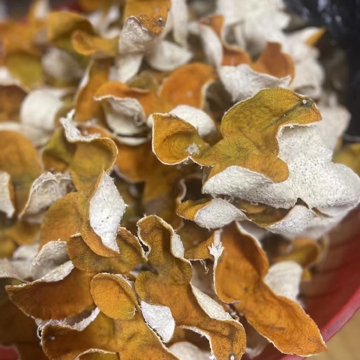 江门新会东甲陈皮