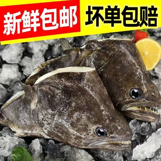 温岭市碟鱼头新鲜大鲽鱼头比目鱼头冷冻偏口鱼深海大鱼头水产整箱包邮