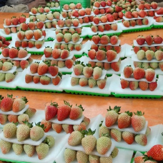云南奶油 草莓新鲜应季水果现摘（十盒一）