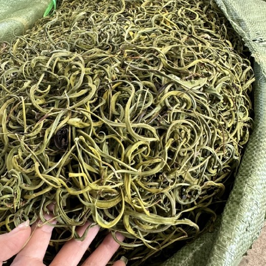 昆明中叶化石草产地一手货源，大货批发