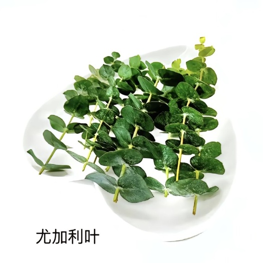 酒店蛋糕店摆盘装饰花草