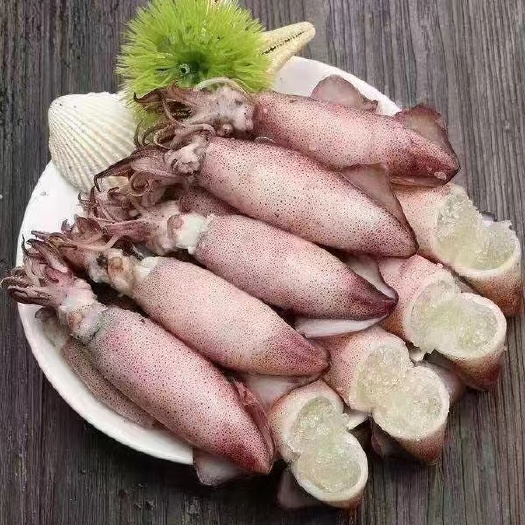 大连全籽海兔