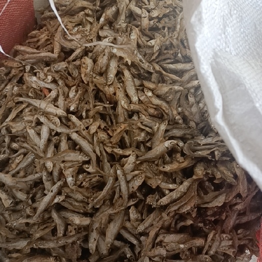 定远县大量出售炕鱼。咸餐条