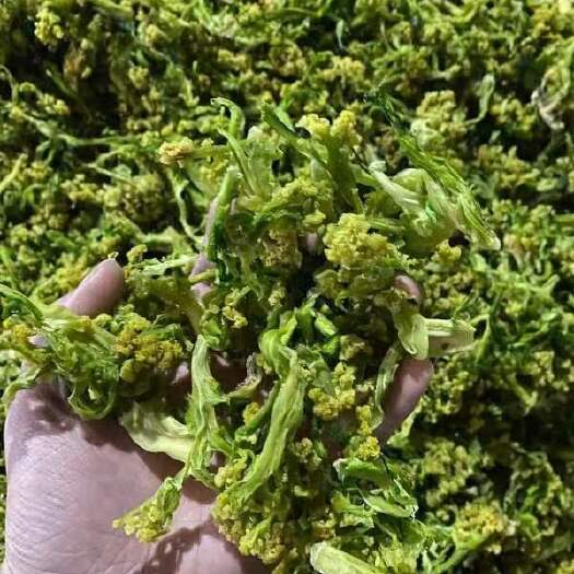 北京优质花菜干 透明交易 对接全国客户 日供万吨 实力供货