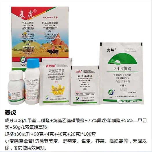 滨州小麦田全除型可有效防除小麦田节节麦燕麦雀麦看麦娘荠菜等禾