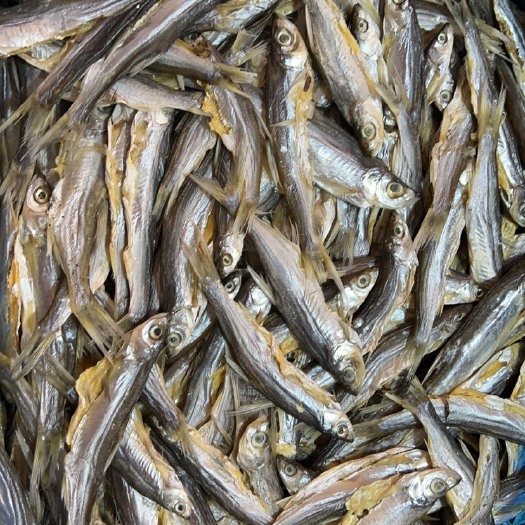 九江餐鲦鱼 、盐干餐子鱼 货品如图颜色好干度9成！