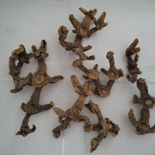 金寨县大别山多花倒苗黄精干货。精品货