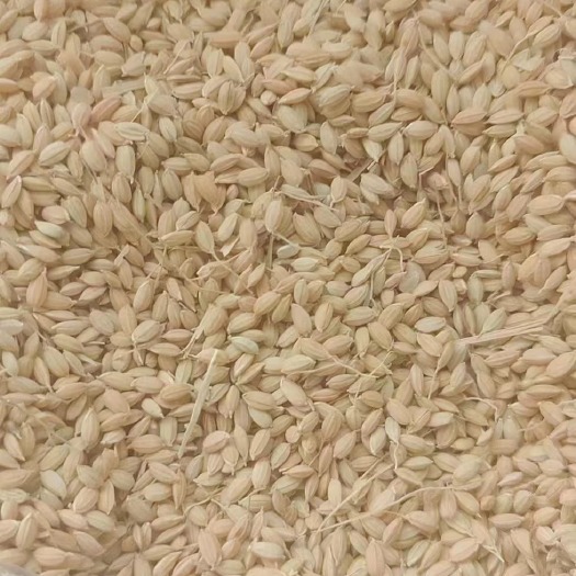 哈尔滨23年东北粳稻，月供2-3万吨，出米率68%以上！
