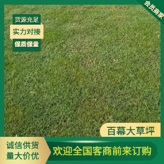 吉安县百幕大草卷，草块