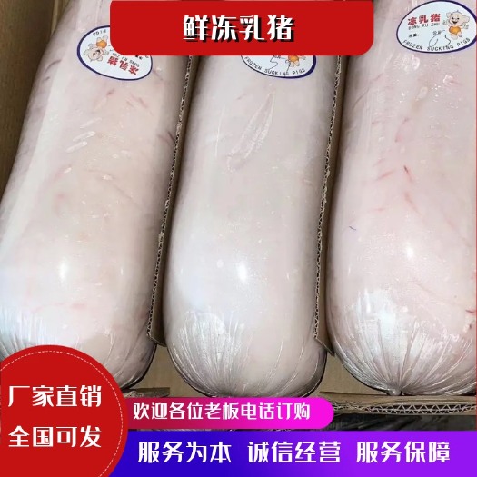 灌南县鲜冻乳猪，现货现杀，量大优惠！