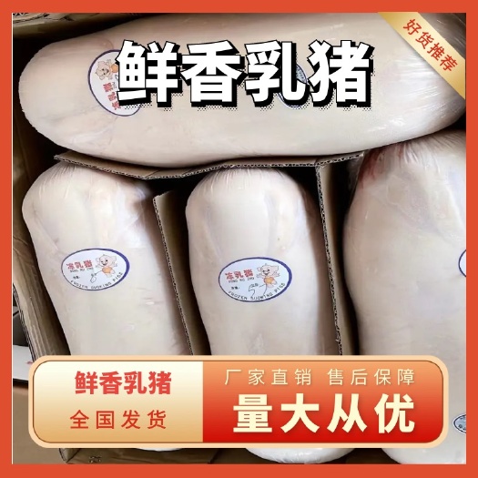 鲜冻乳猪,现货现杀,订满20头包邮